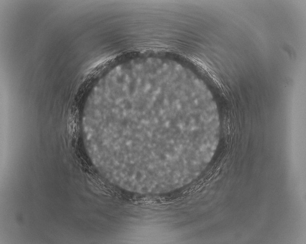 X0000115391063200912151455