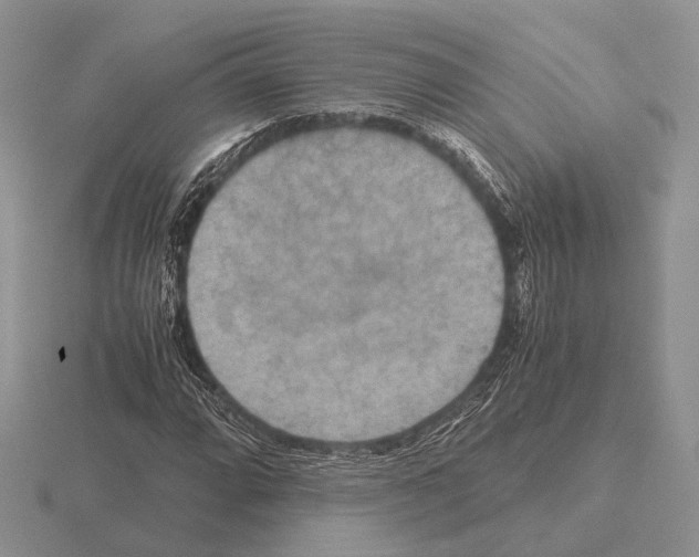 X0000115391064200912151455