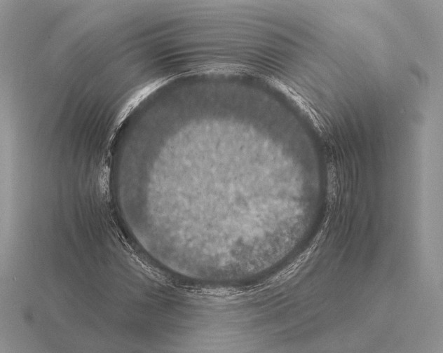 X0000115391066200912151455