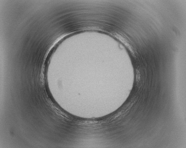 X0000115391068200912151455