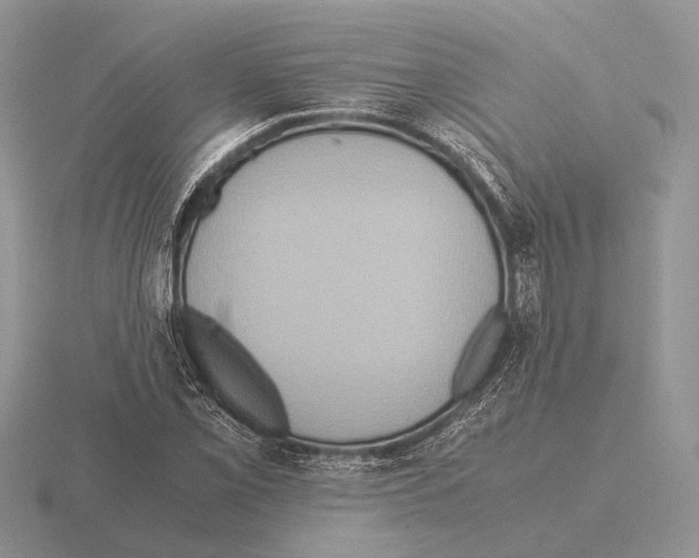 X0000115391069200912151455