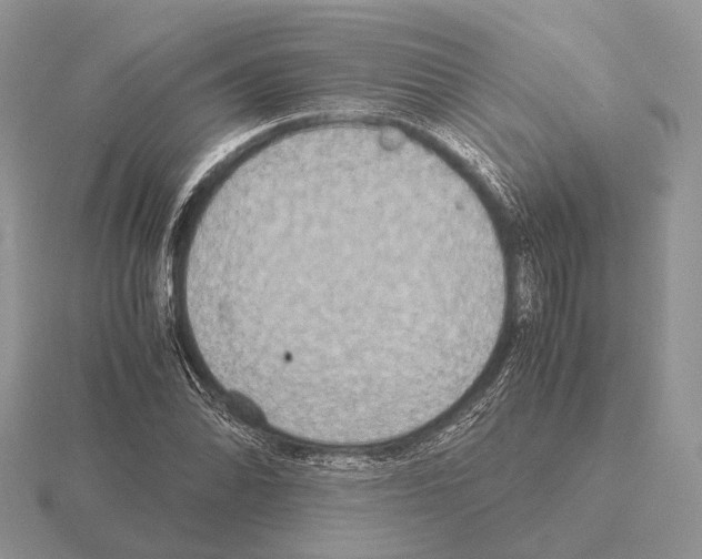 X0000115391070200912151455