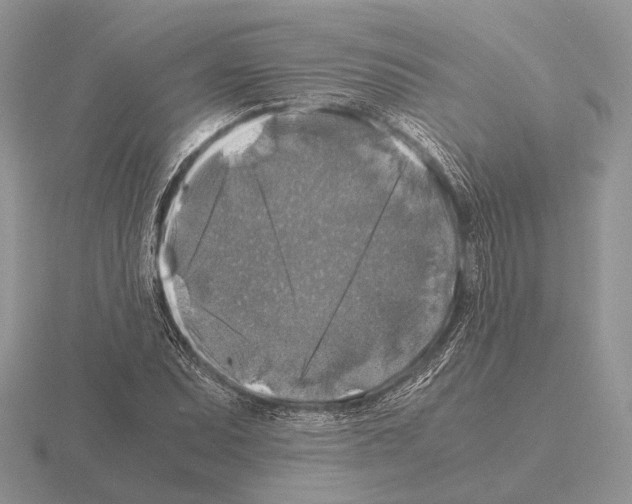 X0000115391071200912151455