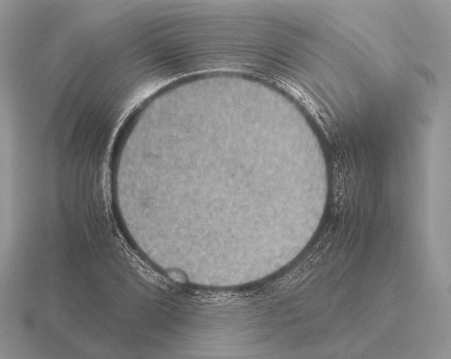 X0000115391072200912151455