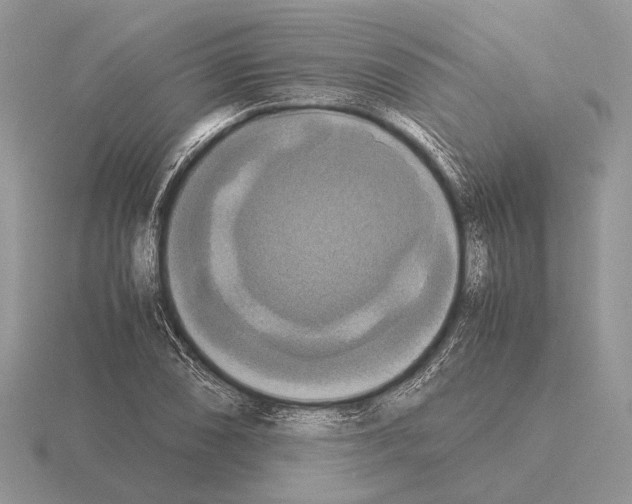 X0000115391074200912151455