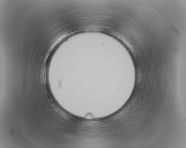 X0000115391075200912151455