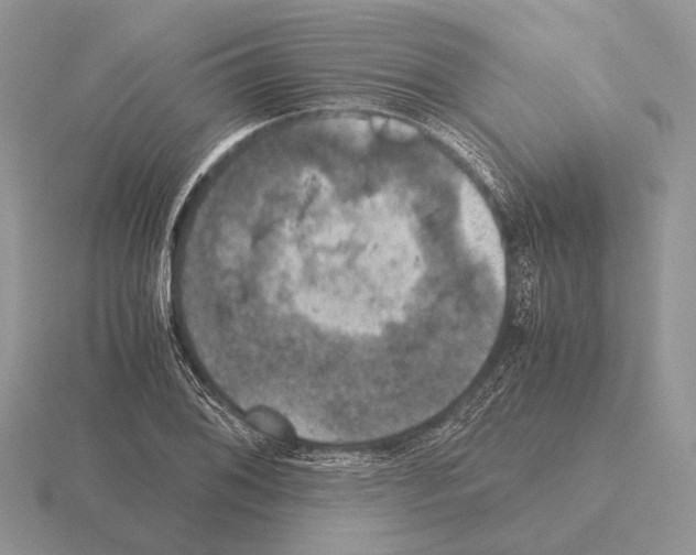 X0000115391076200912151455