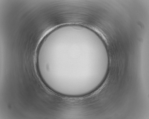 X0000115391077200912151455