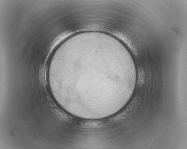 X0000115391078200912151455