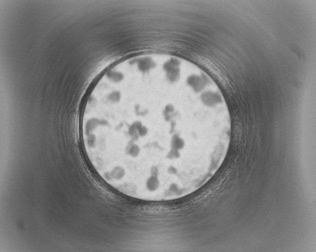 X0000115391079200912151455