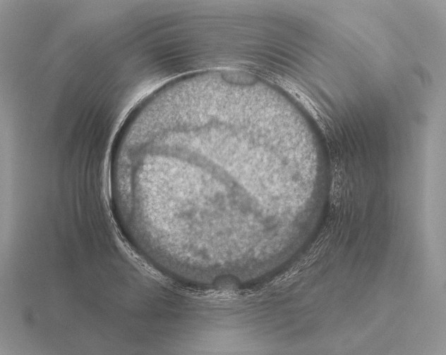 X0000115391080200912151455