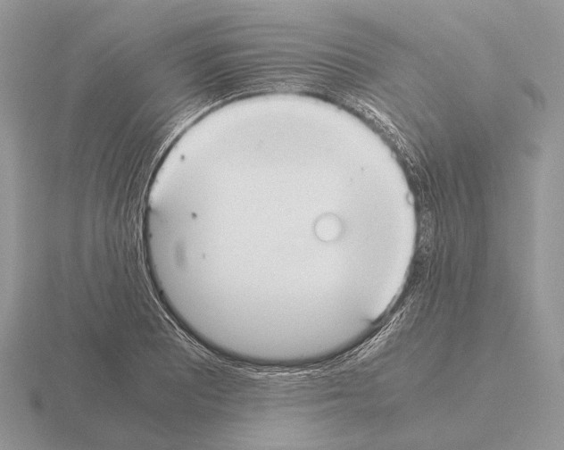 X0000115391081200912151455