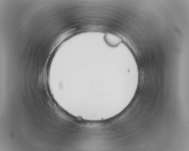 X0000115391082200912151455