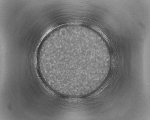 X0000115391083200912151455