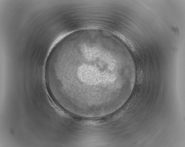 X0000115391086200912151455