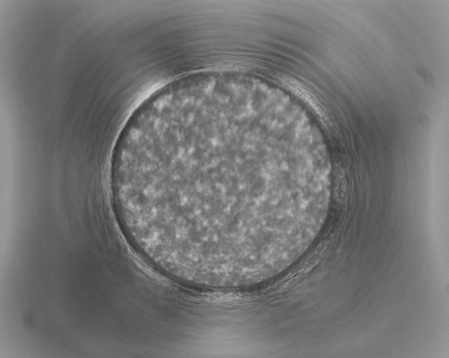 X0000115391087200912151455