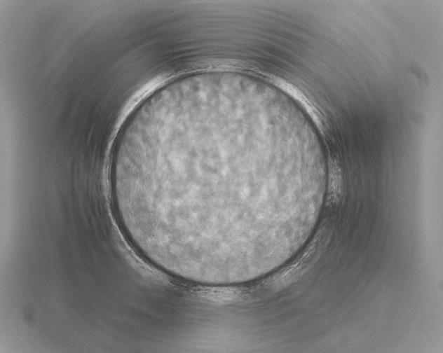 X0000115391090200912151455