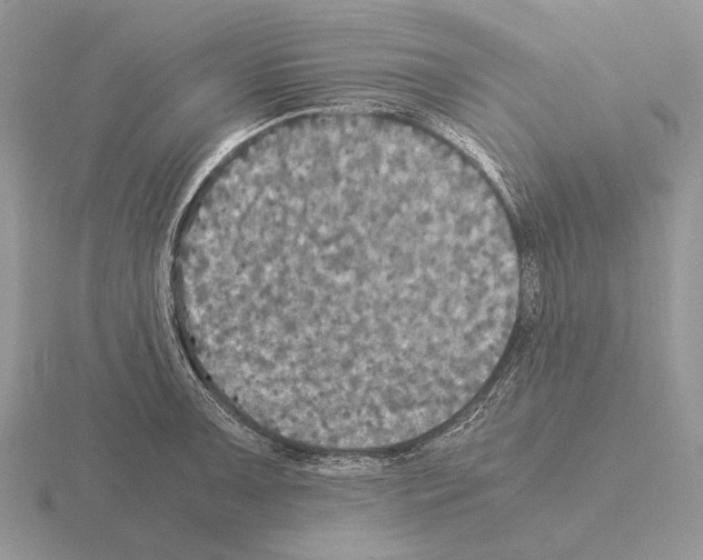 X0000115391091200912151455