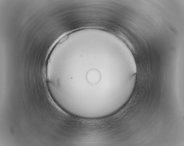 X0000115391092200912151455