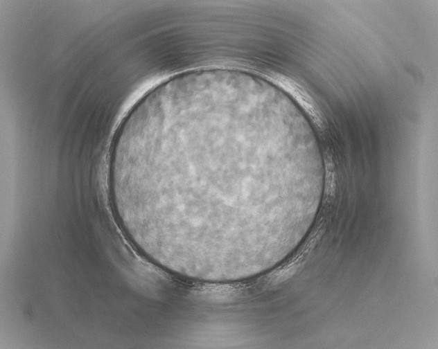 X0000115391094200912151455