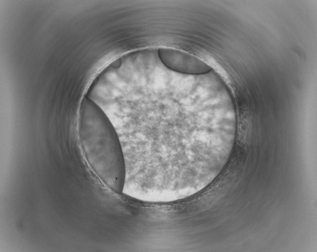 X0000115391096200912151455