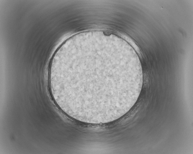 X0000115391099200912151455