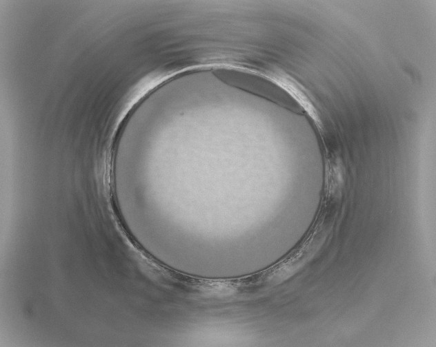 X0000115391101200912151455