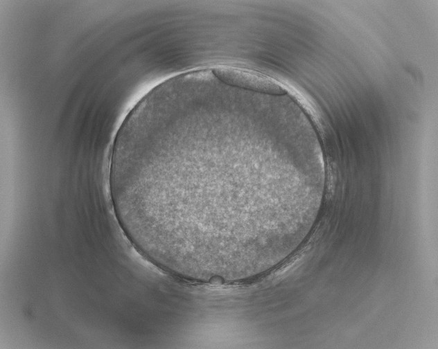 X0000115391102200912151455