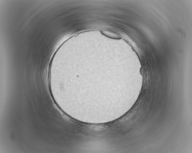 X0000115391103200912151455