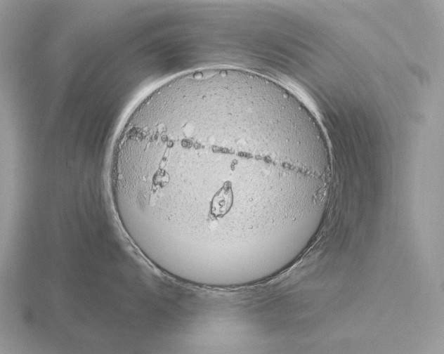 X0000115391104200912151455