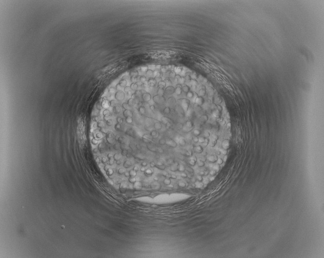 X0000115391106200912151454