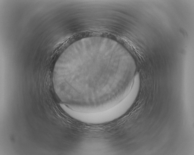 X0000115391110200912151454