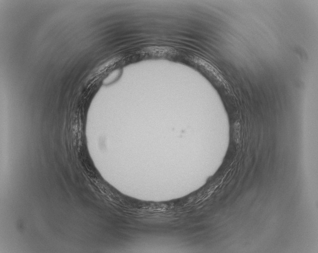 X0000115391111200912151454