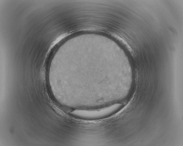 X0000115391114200912151454