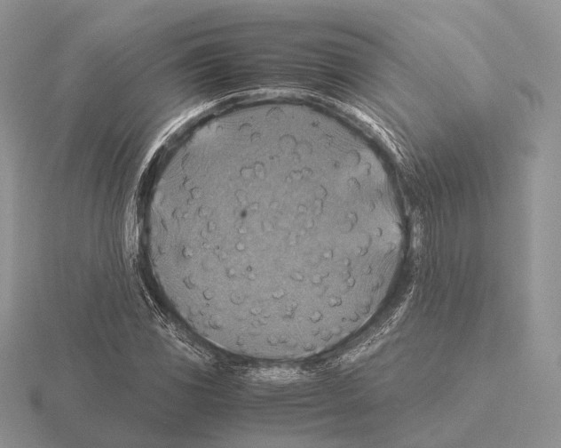 X0000115391117200912151454