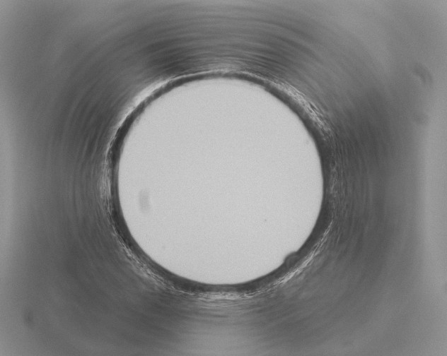 X0000115391118200912151454