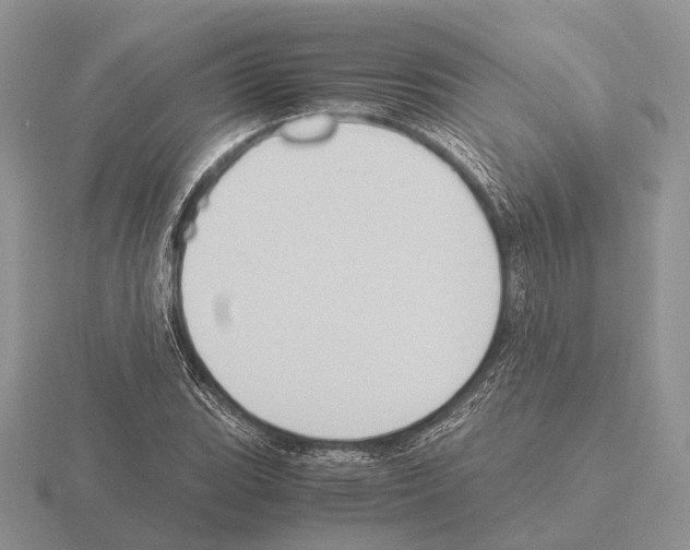 X0000115391119200912151454