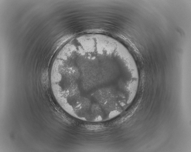 X0000115391121200912151454