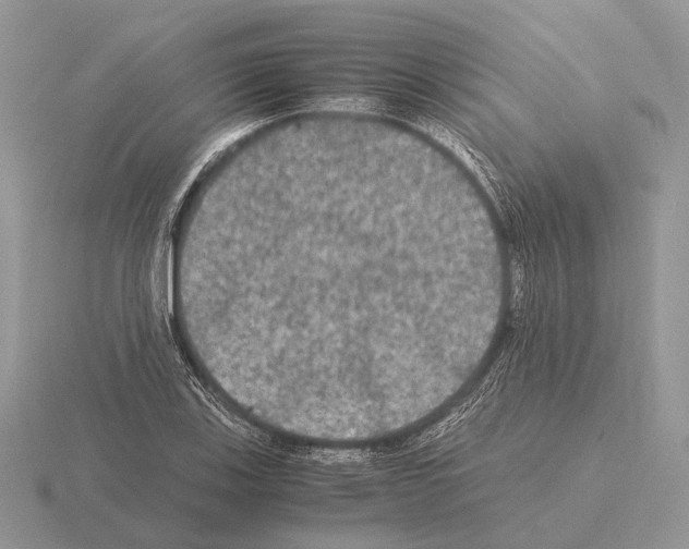 X0000115391123200912151454