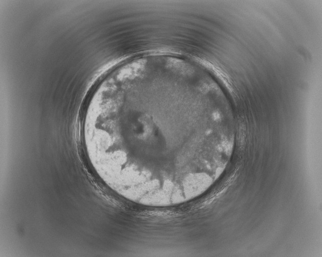 X0000115391125200912151454