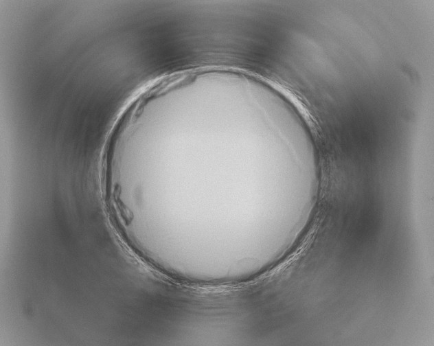 X0000115391126200912151454