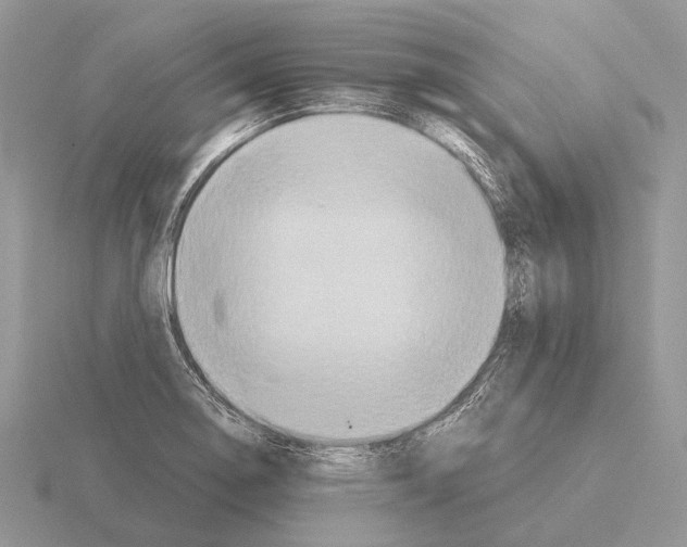 X0000115391130200912151454