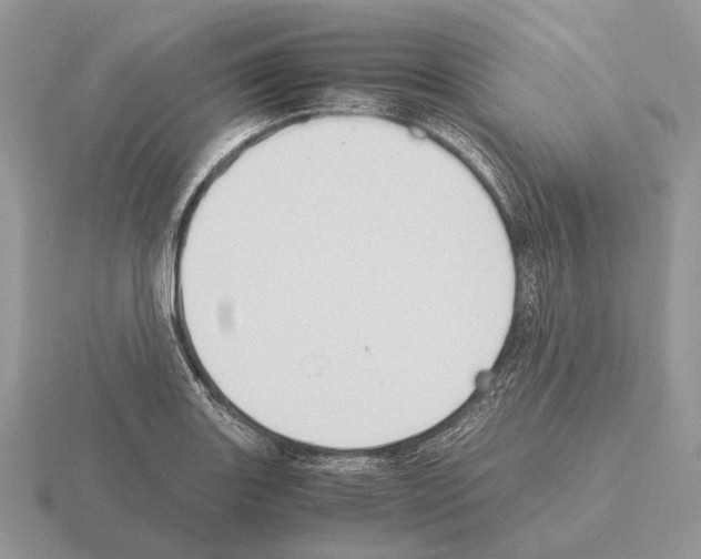 X0000115391131200912151454