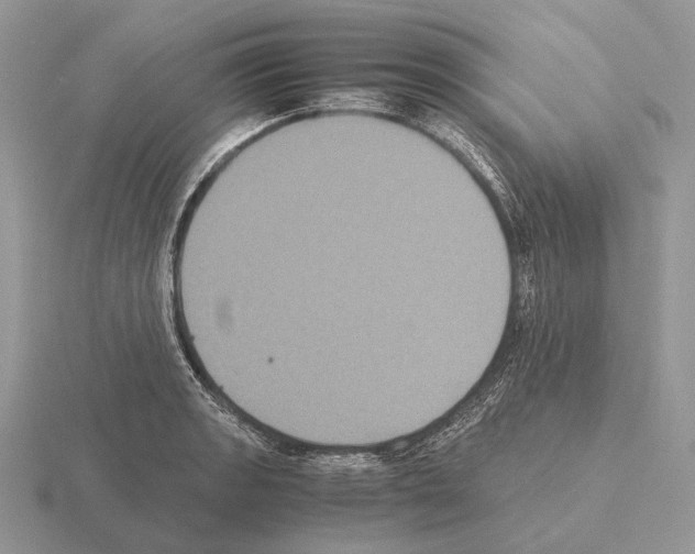 X0000115391133200912151454