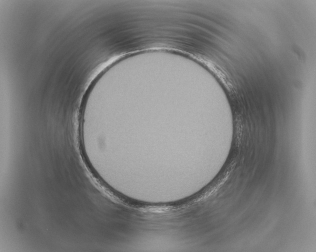 X0000115391134200912151454