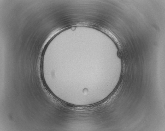 X0000115391138200912151454