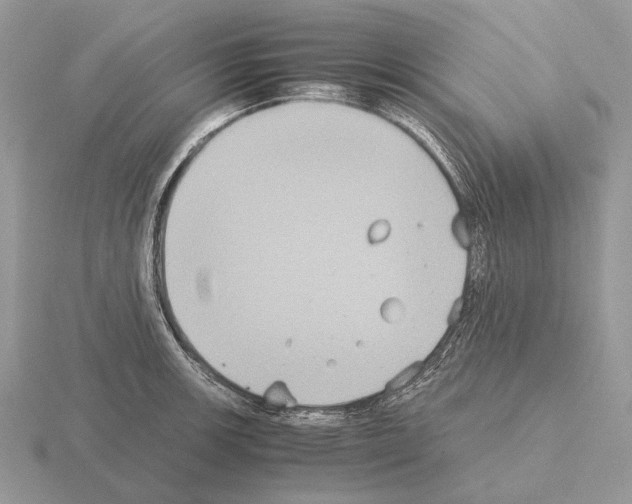 X0000115391139200912151454