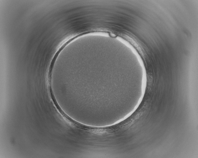 X0000115391141200912151454