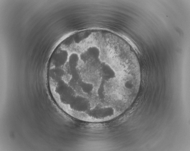 X0000115391142200912151454