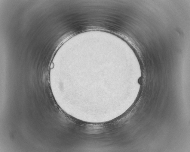 X0000115391145200912151454